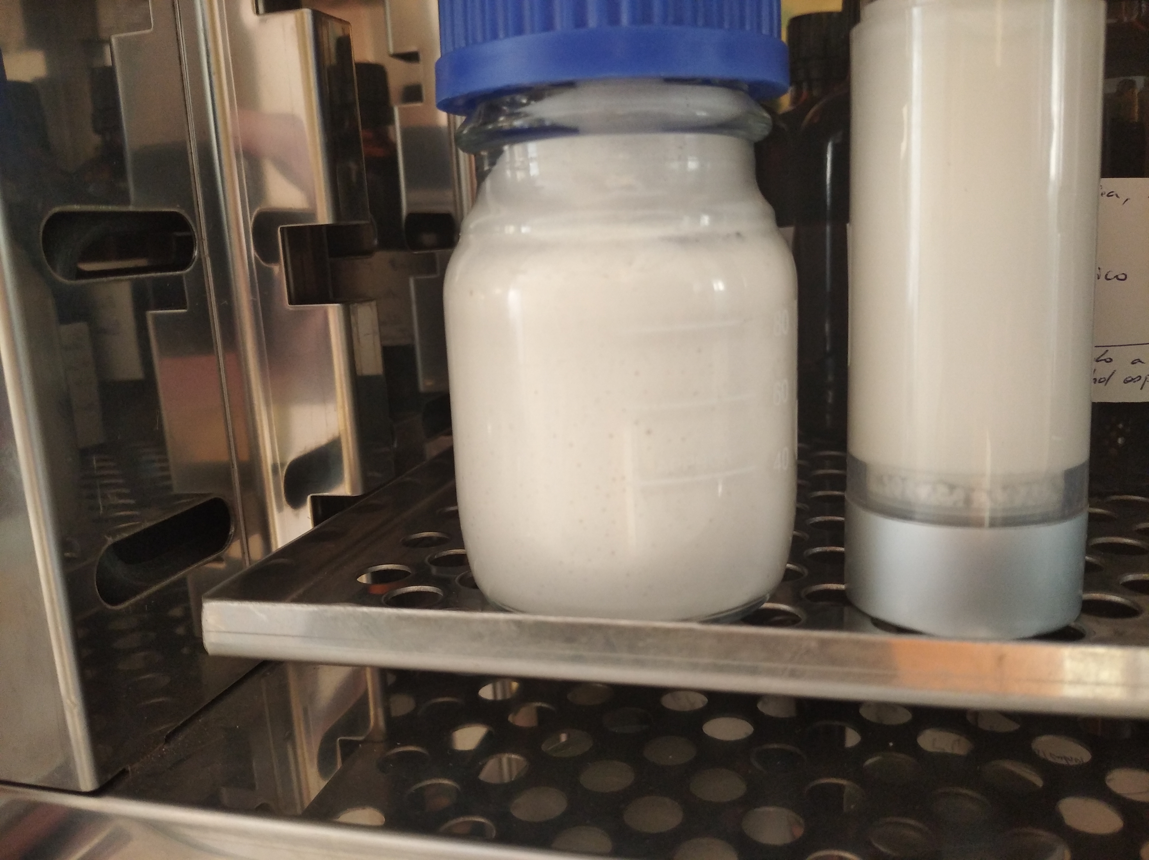 envase crema spagyria